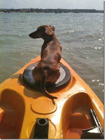 Rusty's Duke kayaking
