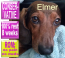 Gayle's Elmer just starting conservative treatment mid July 2017
