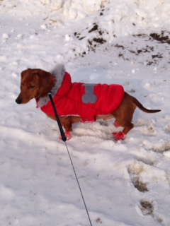 Natalie's Reilly loves the snow!
