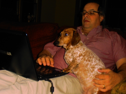 Amy's Dolly - a Piebald Miniature Dachshund. Teaching Daddy To Use The Computer"  

Keywords: Dolly