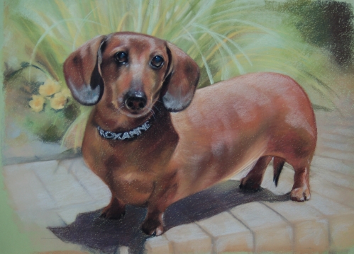 Barbara’s IVDD Roxanne had surgery at 7 years old.  After recovery, Roxanne enjoyed a long wonderful life of seventeen and a half years doing her favorite things…chasing squirrels and sleeping with mom.  Painting by LeAnna Tuff.
