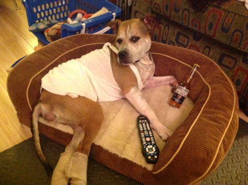 Kyle's Dallas:  I wish she would leave me alone, so I can watch TV and drink my beer in peace!
