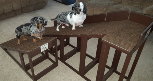 Harvey and Harley Quinn here, modeling Ruff Ramps used to help reduce the risk of developing IVDD. 
After learning from Dodgerslist about all the risks associated with our breed developing IVDD. Our Dad started making and selling pet ramps on etsy to help us and other breeds reduce their risk. No more jumping to our favorite spots on the couch or bed. The ramps even have "Easy Grip Dips" so we don't slip.
