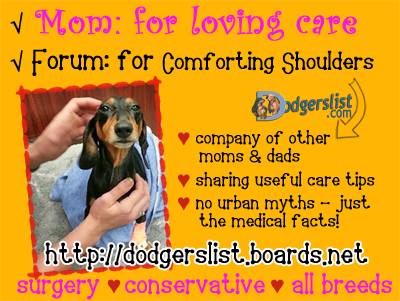 Care and Support Forum
Home care tips for the IVDD dog.
