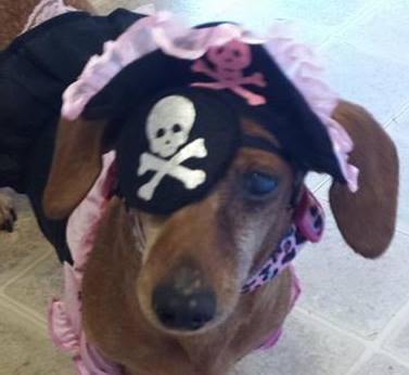 Rae's Sadie: Pirate
