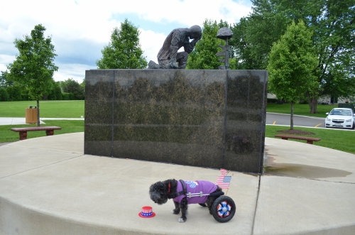 Dar's Megan at our local Veterans memorial statue on Memorial Day.
