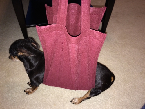 Marice's Trixie in a 6-bottle wine tote converted to a sling. The wine totes seems to be made stronger than regular grocery store totes.
