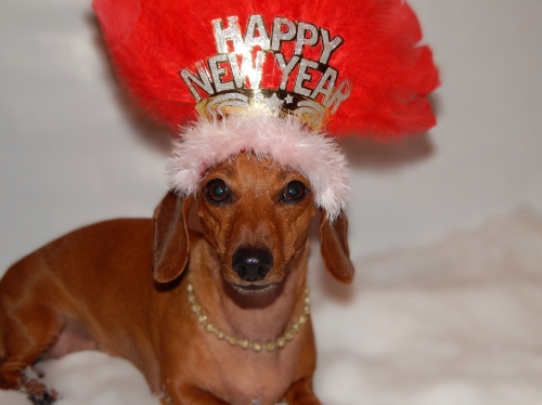 Marie-Ève's Winnie: Happy New Year! 
